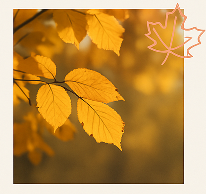 Retraites herfst
