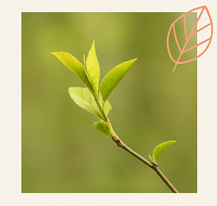 Retraites lente