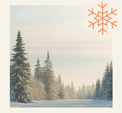 Winterretraite Sisento Health