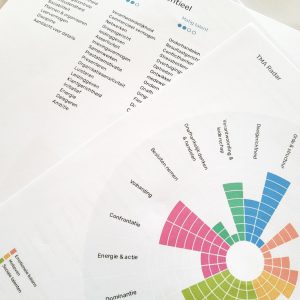 Talenten Motivatie Analyse (Energiegevers- en vreters)