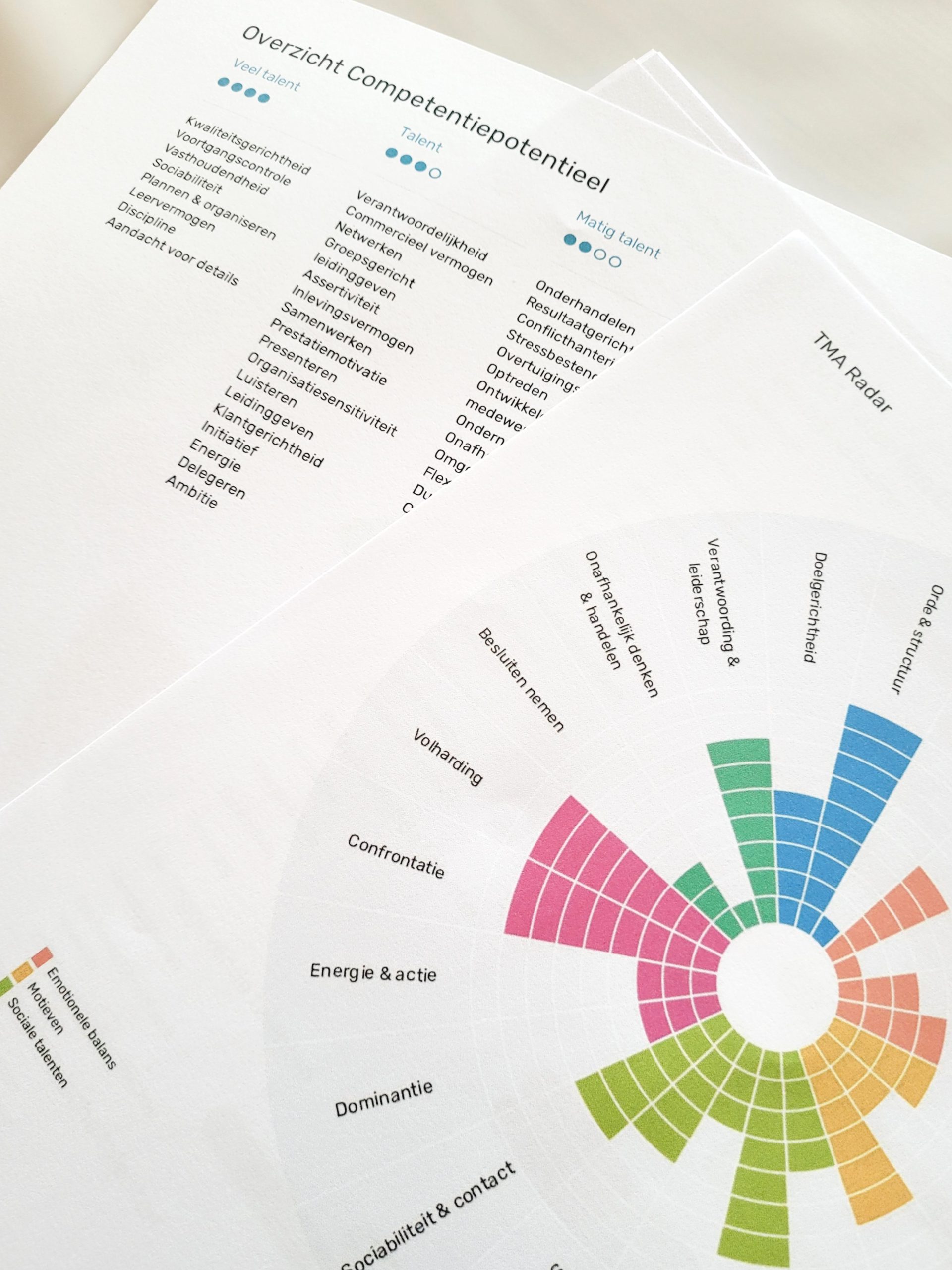 Talenten Motivatie Analyse (Energiegevers- en vreters)